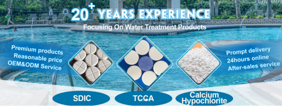 Pool Maintenance in Summer_ Professional Care and Disinfection Tips for Private Pools4295.png